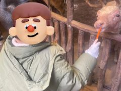 -长鹿旅游休博园