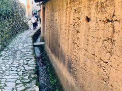 -杨家堂村