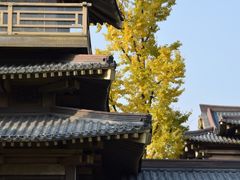 -香积寺