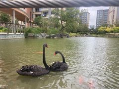 -梧桐人家中国太平国际健康颐养社区