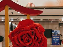 -常州九洲环宇大酒店(常州火车站店)