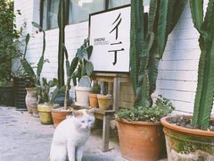 -彳亍咖啡·这里(水湾路店)
