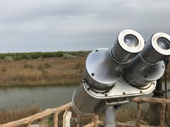 -月坨岛华清月府温泉酒店