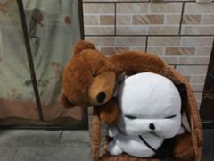 -何适山庄 ·可团建(水长城P2停车场店)