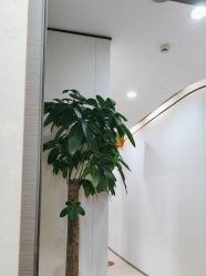 -郑荃丽格医疗美容