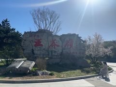 -王莽岭风景区