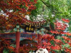 -北海公园