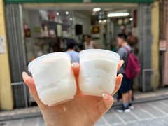 -洪馨椰子