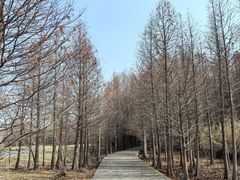 -溱湖国家湿地公园