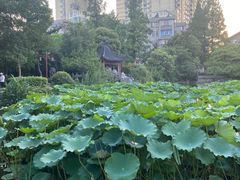 -郑和公园