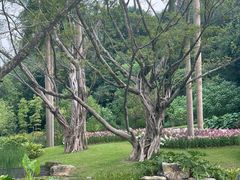 -云溪植物园