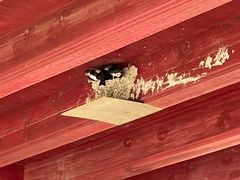 -东钱湖旅游度假区