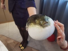 -鲐赏河豚(长寿店)