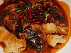 -鸽子侯·家宴·平价海鲜(市图书馆店)