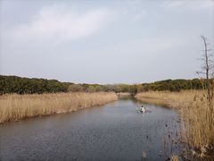 -同里国家湿地公园