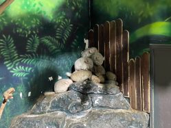 -未来动物城动物主题公园(大悦城店)