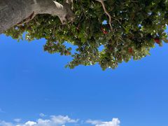 -金鸡岭桥头公园