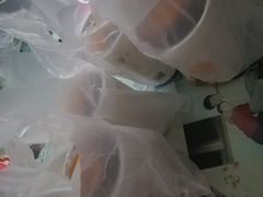 -华莱士·全鸡汉堡(柳州店)