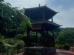 -十万大山布透温泉