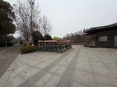 -江滩湿地公园