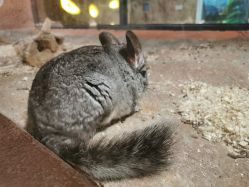 -酷嗒动物文化乐园(cutezoo西溪乐天城店)