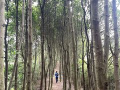 -东钱湖旅游度假区