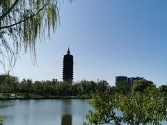 -西海子公园