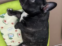 -旺泉餐饮店·清真牛肉面馆