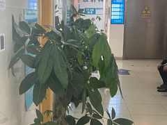 -成都恒博医院·全科检查