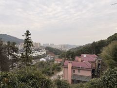 -知味观(湖滨店)