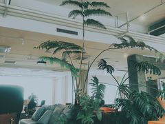 -COFFEEOLOGY咖啡学(天银店)