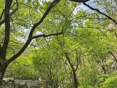 -北京鹫峰国家森林公园