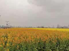 -中国天府农业博览园