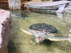 -长鹿旅游休博园