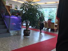-野生菌火锅(菌王村店)