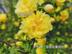 -南海子公园