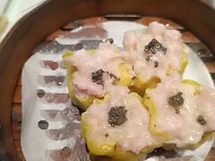 -新兴·金羊座·粤菜点心(乐峰店)