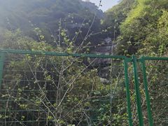 -汉中石门栈道风景区