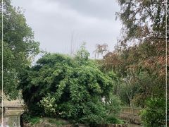 -长兴岛郊野公园农场食堂