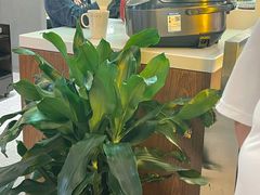 -老房老舍重庆火锅(假日城市店)