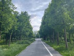 -泗洪洪泽湖湿地景区