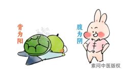 -雅曼妮spa美容养生