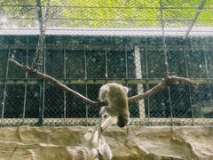 -泉州海丝野生动物世界