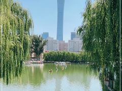 -团结湖公园