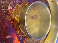 -金鼎雪山牦牛杂火锅(理县总店)