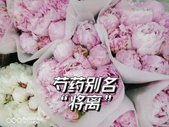 -花鸟鱼虫鲜花绿植市场(玉泉路店)