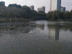 -桐乡植物园