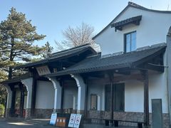 -天目山大树王景区