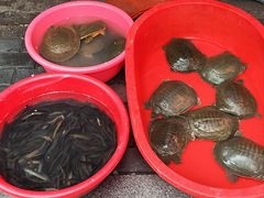 -小罗子汤店(大士院总店)