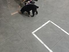 -贝利宠物医院·骨科·眼科·肿瘤转诊中心(南坪诊疗中心)